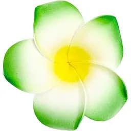 Заколка Гаваї