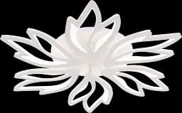 Стельовий світильник LI9862-6