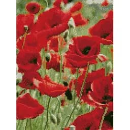 Алмазная картина Маковое поле HX124, 30x40 см