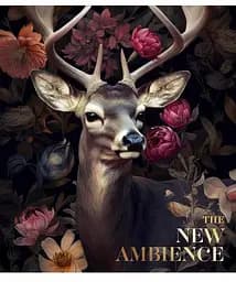 Зошит загальний Школярик Star The New Ambience у клітинку 48 аркушів 10 шт. (048-3371K) - мініатюра 4