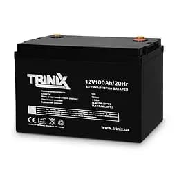 Trinix 12V100Ah/20Hr AGM Акумуляторна батарея 12В 100Аг свинцево-кислотна (44-00047) - мініатюра 5