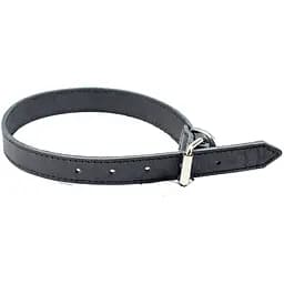 Ошейник для собак Agility из ременной кожи 43-52х2.5 см черный