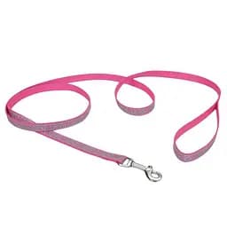 Coastal Lazer Brite Reflective Leash лазер брайт светоотражаючий повідок для собак 1.6см х 1.2м (SP46434_PZA04)