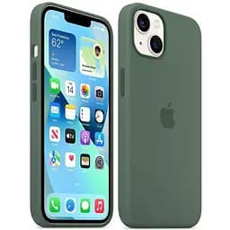 Силиконовый чехол Apple Silicone Case MagSafe для iPhone 13 Eucalyptus MN633ZE/A