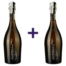 Вино ігристе Bottega Vino dei Poeti Prosecco Exta Dry DOCG екстра сухе біле 11,5% 1.5 л (2 шт. х 0.75 л)