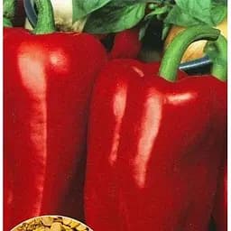 Насіння Весна на вагу Перець Червоний Гігант ціна за 1 г (22008)