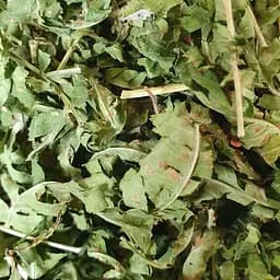 100 г папоротник листя сушене