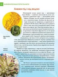 Енциклопедія для допитливих А5 : Найнебезпечніші істоти планети (Українська, 01 КРЕЙДОВАНА ) - мініатюра 12