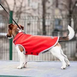 Жилет Pet Fashion Fleecy для собак, розмір M, червоно-сірий - мініатюра 2