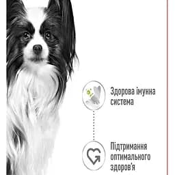 Вологий корм для дорослих собак мініатюрних розмірів Royal Canin X-Small Adult шматочки в соусі 85 г - мініатюра 2