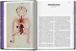 Information Graphics. 45th Edition - мініатюра 3
