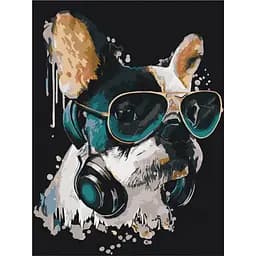 Картина по номерам "Меломан" Bambi 11670-NN 30 x 40