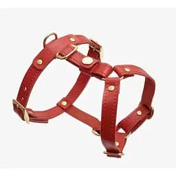 Шкіряна анатомічна шлея для собак "Classy" S червона (обхват грудини 34-48 см)