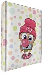 Альбом EVG BKM57100 BABY OWL 13x18x100см (BKM57100 BABY OWL)