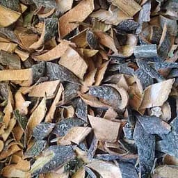 100 г калина обыкновенная кора сушеная - свежий урожай