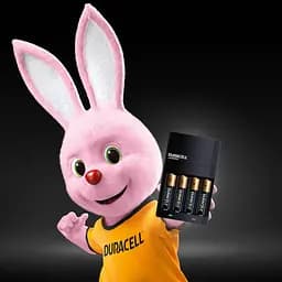 Зарядний пристрій для пальчикових та мізинчикових батарейок Duracell Hi-Speed (5007497) - мініатюра 2
