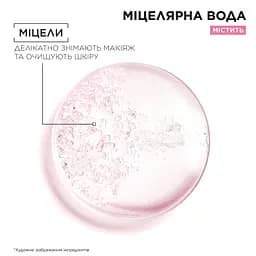 Міцелярна вода Garnier Skin Naturals для всіх типів шкіри 100 мл (C5174701) - мініатюра 3