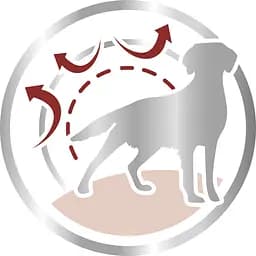 Сухий корм для дорослих собак середніх порід Royal Canin Medium Adult з м'ясом птиці і кукурудзою 4 кг - мініатюра 4
