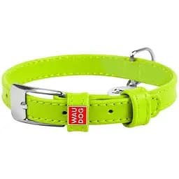 Нашийник для собак Waudog Glamour, шкіряний, з QR паспортом, 27-36х1,5 см, салатовий