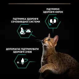 Сухий корм для стерилізованих котів Purina Pro Plan Sterilised Adult 1+ Renal Plus з індичкою 3 кг (12369078) - мініатюра 6