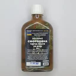 Водная настойка на листьях черной смородины 200 мл