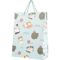 Пакет подарунковий XDW111163 Блакитний