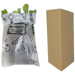 Саджанець Agro-Market Полуниця Хоней (Honey) 5шт (ранній термін дозрівання, стійкий до хвороб і шкідників) (23403) - мініатюра 2