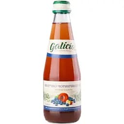 Сок Galicia Яблочно-черничный неосветленный 300 мл (672710)