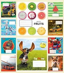 Зошити учнівські 12 аркушів лінія тверда ТЕ52117 12ЛВ2-МІКС, 25 шт. в упаковці