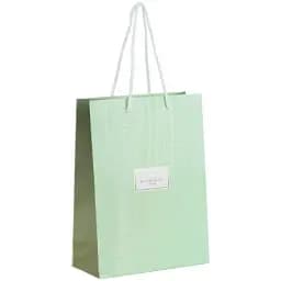 Пакет подарунковий Axent 8501-37-A-TR Turnowsky Nature`s Melody Різнокольоровий shop (4063276343833)