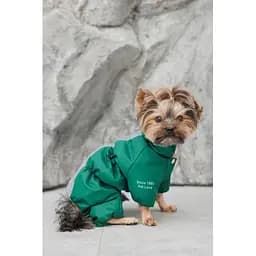 Комбінезон Pet Fashion EGO ХS2 зелений для собак - мініатюра 6