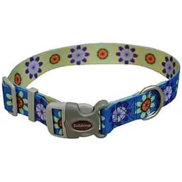 Нашийник для собак Coastal Sublime 2.5х46см