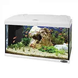 Аквариум Ferplast CAPRI 60 WHITE - 60 L 60 x 31.5 x h 39.5 cm