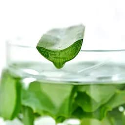 Ковдра Ideia Aloe Vera зимова 140х210 см 8-13464 - мініатюра 5