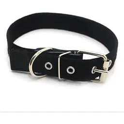 Нашийник для собак Zoo-hunt брезентовий 2,5 см 33-44 см чорний