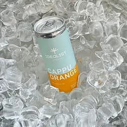 Кавовий напій Idealist Coffee & Co. Cappu Orange 0.25 л - мініатюра 2