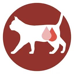 Вологий корм для стерилізованих котів Purina One Sterilcat в соусі з індичкою та зеленою квасолею 85 г (12455698) - мініатюра 4