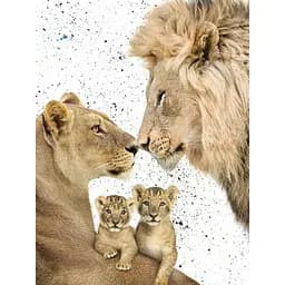 Алмазная мозаика Strateg ПРЕМИУМ Королевская семья без подрамника размером 40х50 см (GC86123)