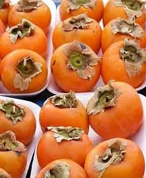 Саджанець Agro-Market Хурма на віргінській морозостійкій підщепі Хеакума вищий сорт! (44808) 1 шт. в упаковці - мініатюра 6