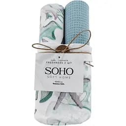 Набір рушників Soho 40x60см Freshness 2 шт pbe0050668