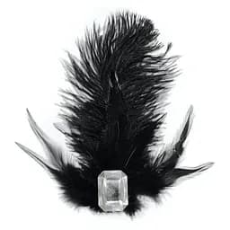 Заколка з пір'ям