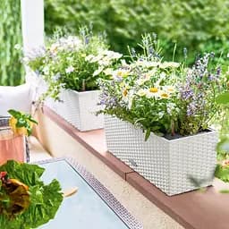 Вазон Lechuza Balconera Cottage 50 світло-сірий (15447) - мініатюра 6