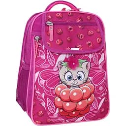 Рюкзак школьный Bagland Отличник 20 л 143 малина 899 (0058070)