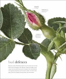 The Science of Plants - мініатюра 17