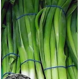 Насіння Весна на вагу Цибуля На перо ціна за 3 г (22094)