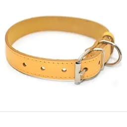 Нашийник для собак Zoo-hunt Весна шкіряний жовтий 3,5/46-56 см