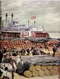 America 1900 - мініатюра 7