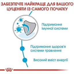 Сухий корм для цуценят дуже мініатюрних порід Royal Canin X-Small Puppy, 3 кг (10020301) - мініатюра 5