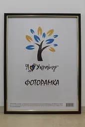 Фоторамка 30х42, коричнева із золотою вставкою, 1515-В84, СКЛО + ДВП                                                                                                                                                                                                                                                                                                                                                             
