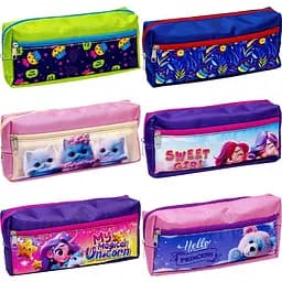 Пенал 930830, 2 отделения , на молнии 21*9*4,5см, в пакете Микс